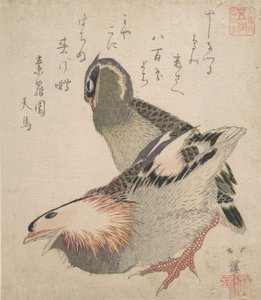 2 羽の鳥。