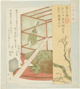 シリーズ「花園番付Aシリーズ」より 檻の中のウグイス 作： Totoya Hokkei