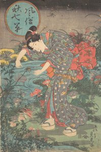 おしゃれな秋の七草 風俗秋 七草 前半… 19世紀前半。 作： Toyohara Sadatora