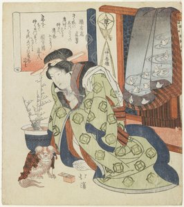 （ペキニーズ犬とのコートサン） 作： Toyota Hokkei