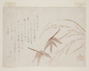トンボ（カラー木版画 作： Toyota Hokkei