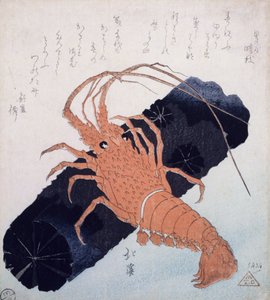 炭のブロックのあるラングスティーヌ、c.1830（カラー木版印刷） 作： Toyota Hokkei