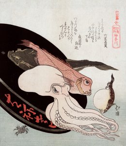 タコと海の魚（トトヤ法研 作： Toyota Hokkei
