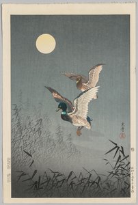 東京の景色：アヒル 作： Tsuchiya Kōitsu