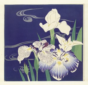 アイリス、1890-1900（木版画）