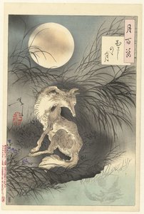 武蔵の月 武蔵野の月 月百姿（シリーズタイトル） 月百師 作： Tsukioka Yoshitoshi