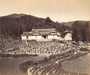 ペリングのティーフィールド＆ジョシュハウス、1869年頃。 作： Tung Hing.