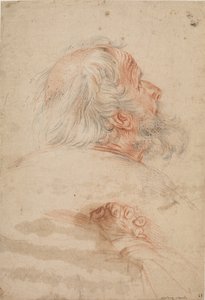 老人の頭と組んだ手の研究 作： Ubekendt