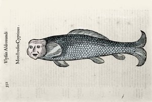 魚の絵 ウリッセ・アルドロヴァンディ（1522-1605）の『博物学』の写本を使って描かれたニコラの図版 ボローニャ大学図書館のウリッセ・アルドロヴァンディ資料室 1603年編 作： Ulisse Aldrovandi