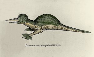 海竜を表現したもの。ウリッセ・アルドロヴァンディ（1522-1605）の博物誌原稿のモンスターのプレート
