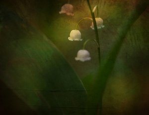  作： 