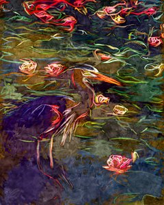 絵画的なサギと睡蓮 作： 
