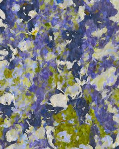 鮮やかな花の印象 作： 