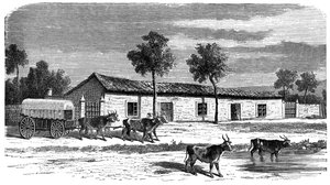 ボーア牧場、南アフリカ、c1890 作： Unbekannt