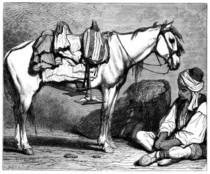ボスニアの農民、c1890 作： Unbekannt