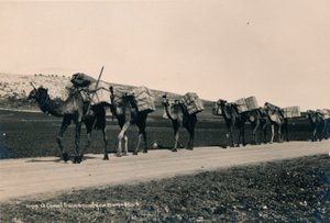 ダマスカス行きのラクダ列車、1936年 作： Unbekannt