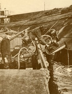 ユーフォニアムと剣を備えたダイバー。1930年にスカーパでスカットルしたドイツのカイザーから。 作： Unbekannt