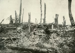 かつてのシルヴァンウッドでの掘り出し物、1919年。 作： Unbekannt