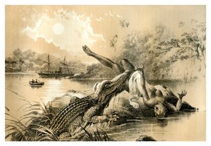 恐ろしい事件、1883年 作： Unbekannt