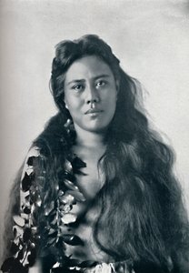 フラダンサー、ホノルル、ハワイ、1902 作： Unbekannt