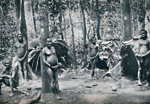 ピグミービレッジ、北東コンゴ盆地、1912