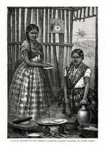 1877年、メキシコ、ティエラカリエンテスの農村キッチン 作： Unbekannt
