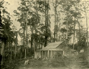 素朴な住居、1901年。 作： Unbekannt