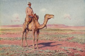 中央オーストラリアの風景、1923年。 作： Unbekannt