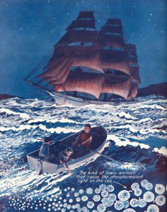 1935年の常夜灯に照らされた海 作： Unbekannt