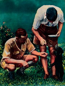 RAFのシンガポールマスコット、1940
