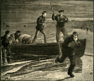 密輸遠征、1881年。 作： Unbekannt