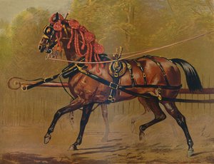 州の馬車、c1879。 作： Unbekannt