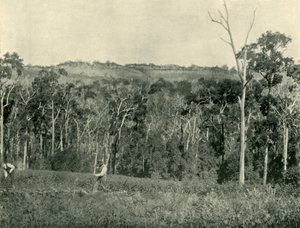 ビクトリア朝の山の農場、1901年。 作： Unbekannt
