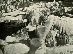 ニューイングランドの冬景色、1901年。 作： Unbekannt