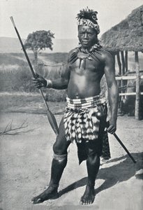 ズールー族の首長、1902年 作： Unbekannt