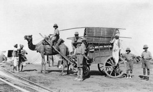 ラクダ車、インド、1916年〜1917年 作： Unbekannt