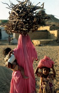 ラージャスターン州の村で木工をする地元の家族。インド、ラジャスタン州。2005年2月25日。(写真) 作： Unbekannt