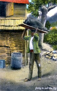 ブタ、ジャマイカ、c1900を販売するために市場に行く途中の男 作： Unbekannt