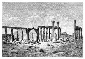 1895年、シリアのパルミラタドムールにある廃墟の列柱 作： Unbekannt