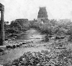 1874年、インドのマドラスの近くにある廃墟の寺院 作： Unbekannt
