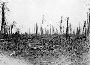 1916年、フランス、ソンム地域の木材、1920年 作： Unbekannt