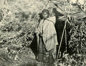 子供を持つ先住民の女性、1901年。