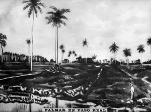 パソレアルのアクション、1896年、1920年代 作： Unbekannt
