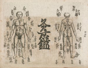 Acupuncture Carte du corps humain indiquant les points de moxibustion (Moxabustion diagram showing where singeing should be avoided)