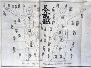 鍼灸：お灸のツボを示す人体図（日本）（お灸に関する図、1690年頃