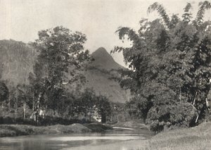 MaskeliyaエリアのAdamspik、1926 作： Unbekannt