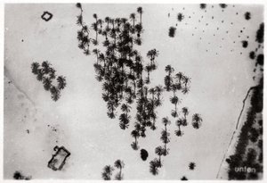 ツェッペリン、1931年1933年からのアラビアの砂漠のヤシの影の空撮 作： Unbekannt