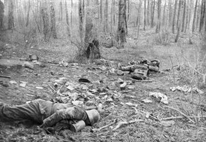 1918年3月30日、フランス、ピカルディのPlessis-de-Roye公園での戦闘の余波 作： Unbekannt