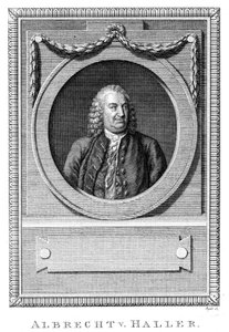 アルブレヒトフォンハラー、スイスの医師兼科学者、c1770 c1780 作： Unbekannt