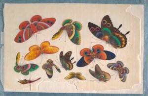 Album Containing Twelve Paintings of Insects, 19th century.    1202576   ja       japanese Successfully Translated  Original: Portret van Charles William Vane gekleed als Charles William Stewart The Marquess of Londonderry (title on object) Translat: Portr 作： Unbekannt